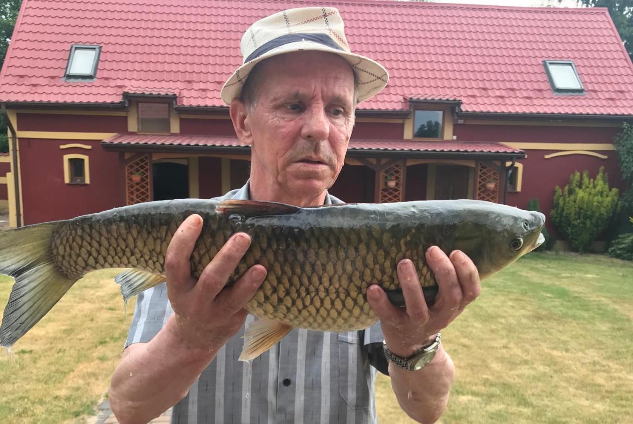 Agro Na Wapniarni Villa Biala  Buitenkant foto