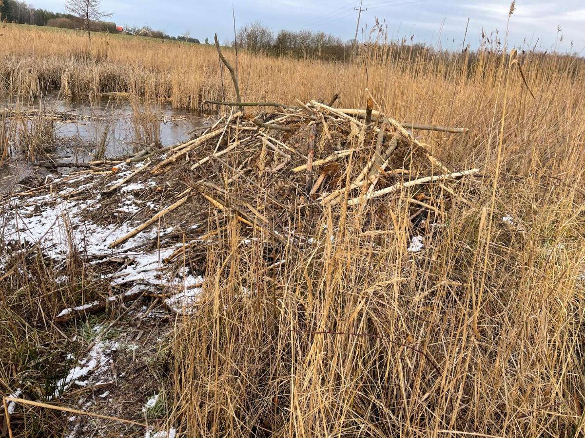 Agro Na Wapniarni Villa Biala  Buitenkant foto