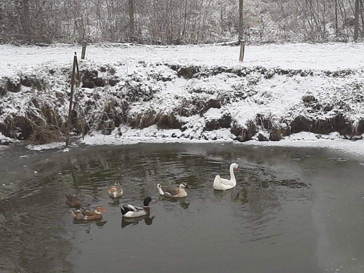 Agro Na Wapniarni Villa Biala  Buitenkant foto