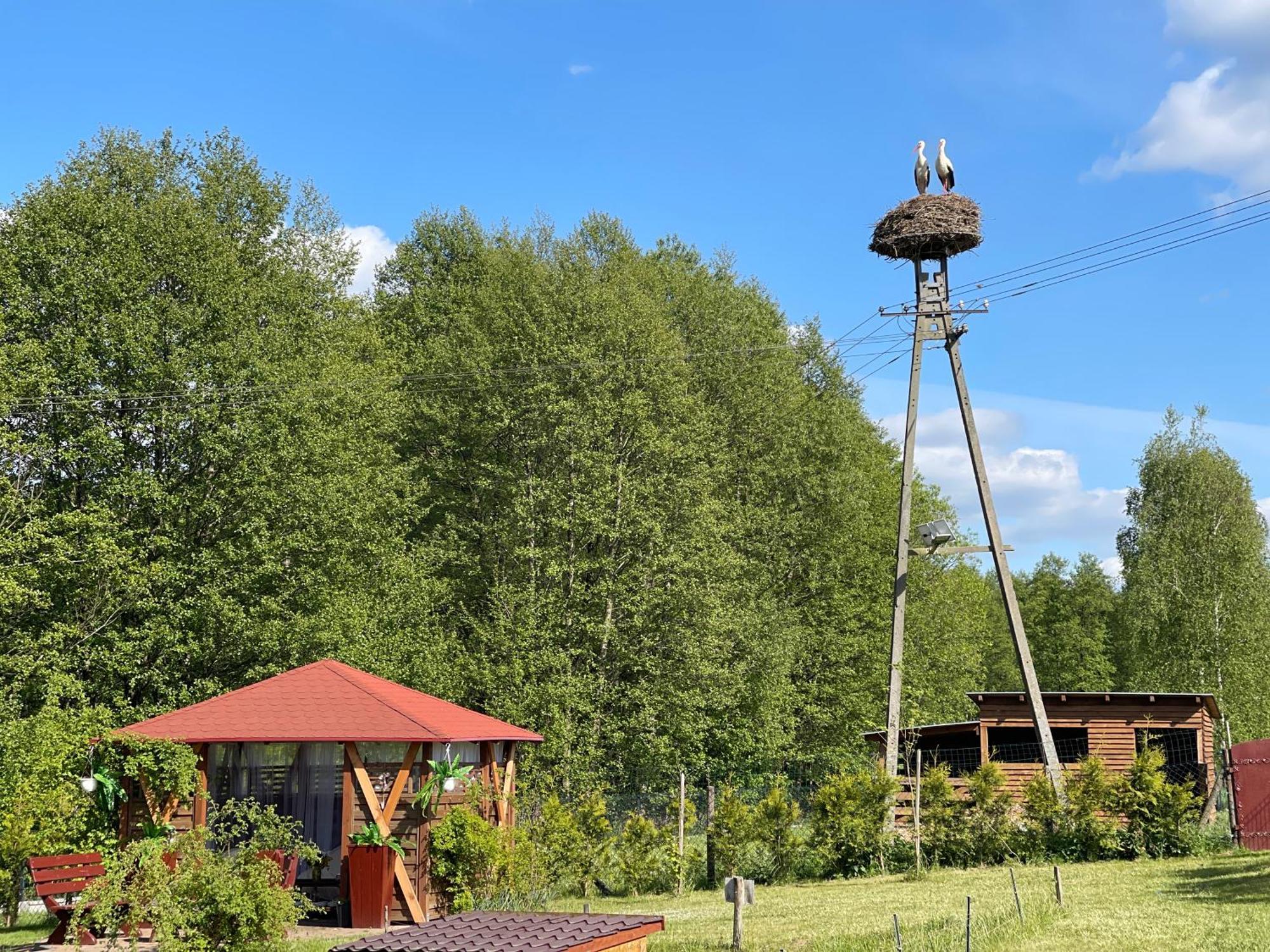 Agro Na Wapniarni Villa Biala  Buitenkant foto